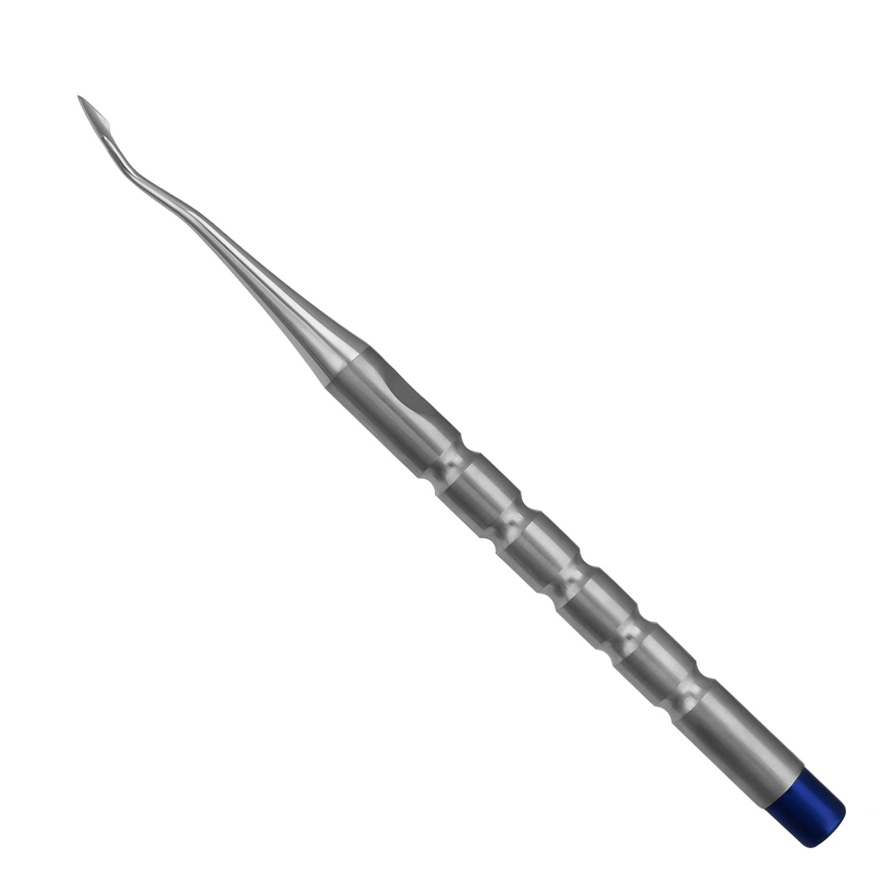 a stainless steel tool with a blue handle on a white background