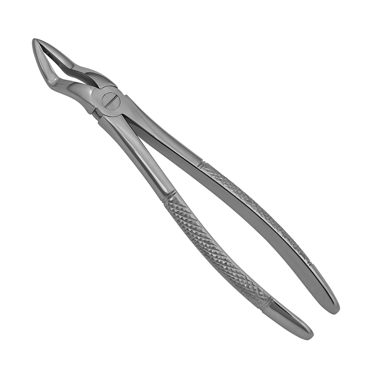 extraction-forceps-51-upper-root-english-pattern-bayonet-style-36-051E-full.jpg a pair of stainless steel dental pliers on a white background