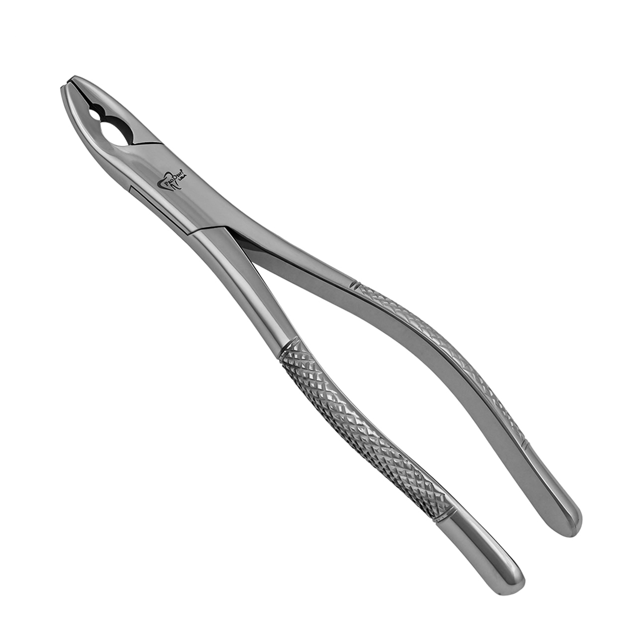 2 Extraction Forceps | Surgical Forceps | ProDentUSA