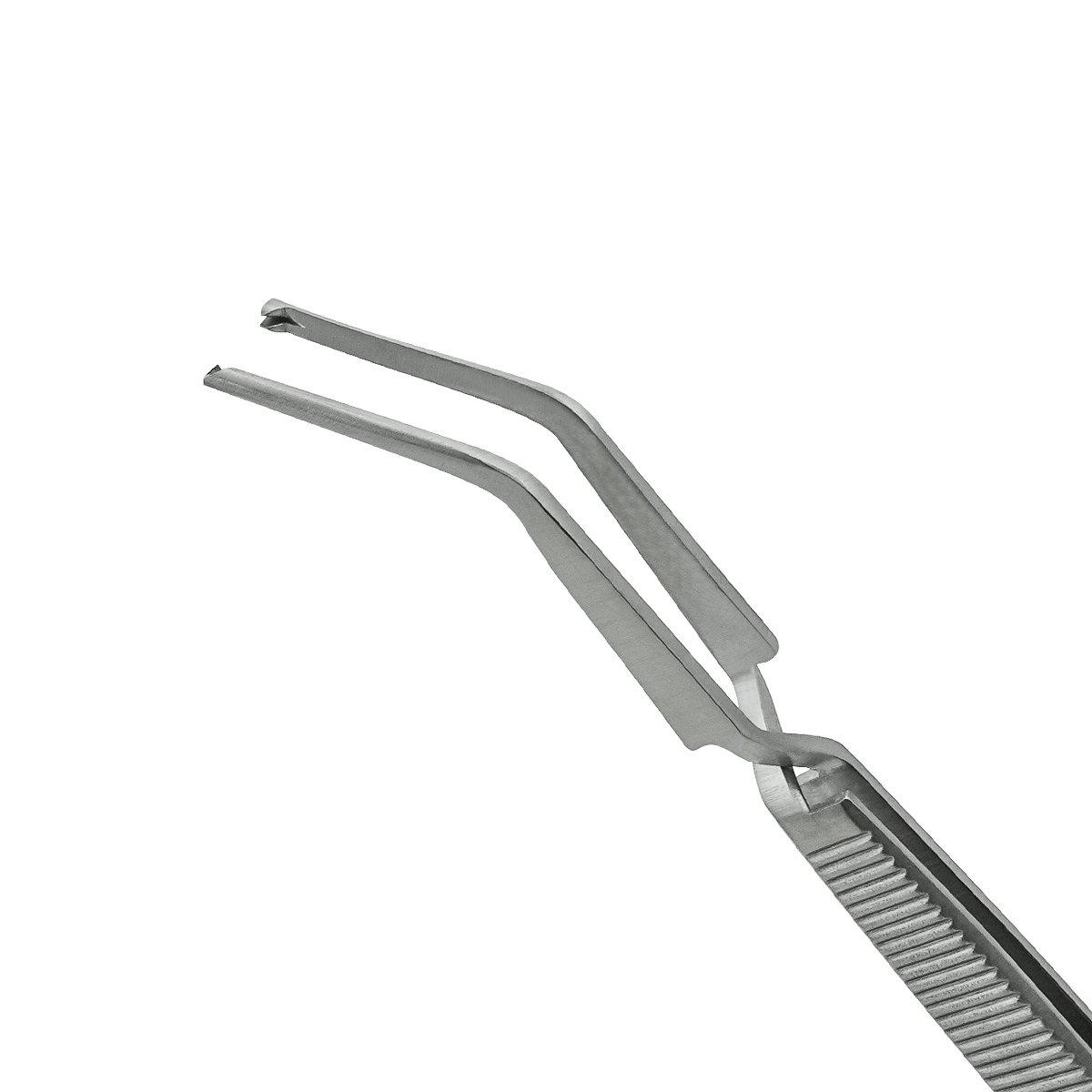 prf-tissue-forceps-reverse-action-6-inch-GS15-02066-open