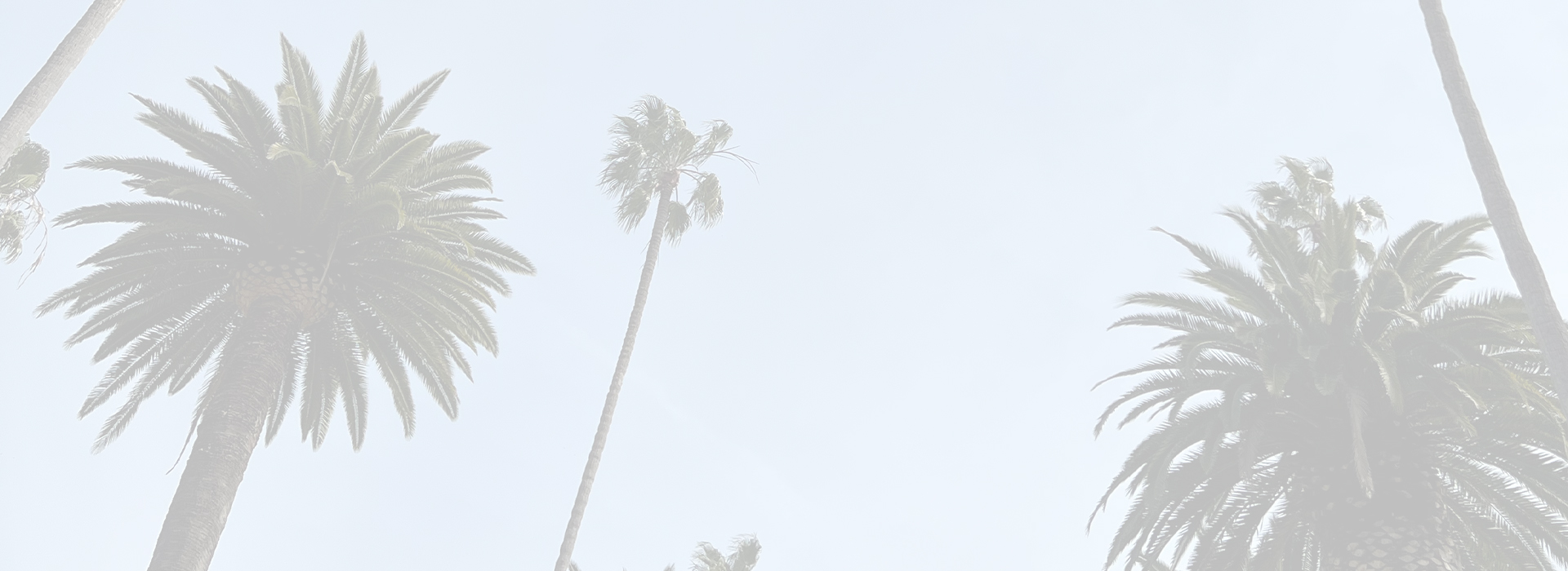 anaheim_palm_trees