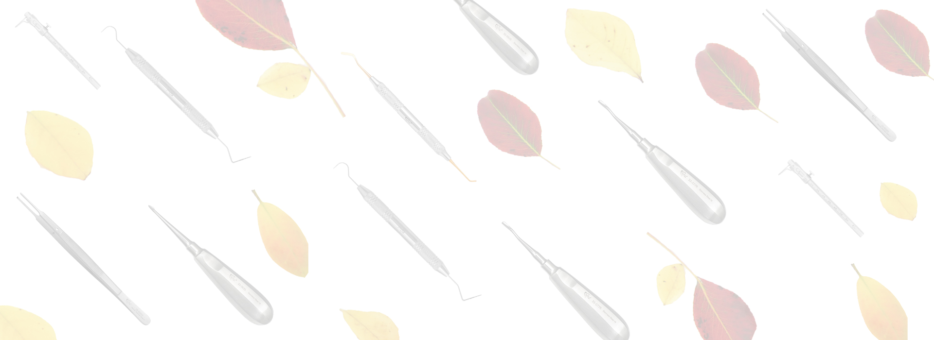 fall-favorites-2026